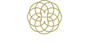 HB STAR GROUP LTD