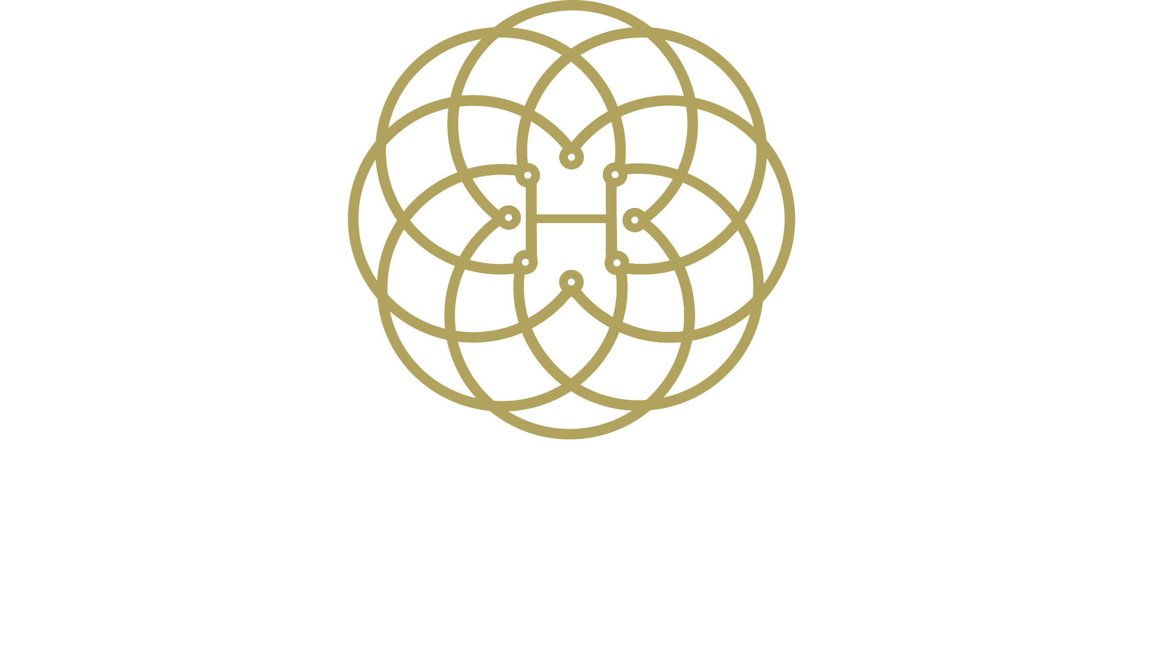 HB STAR GROUP LTD